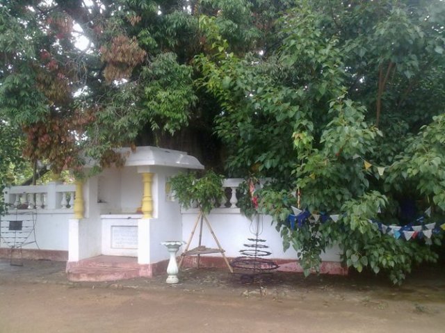 ulugala